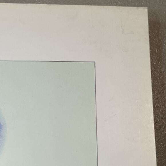 Vintage 1985 Boris Vallejo Warrior Women Art Print No 32 of 250 Fantasy Pinup - Picture 8 of 8